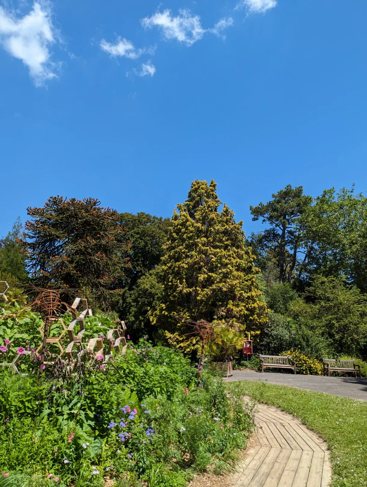 Beds of perennials and shrubs lining a path in the garden