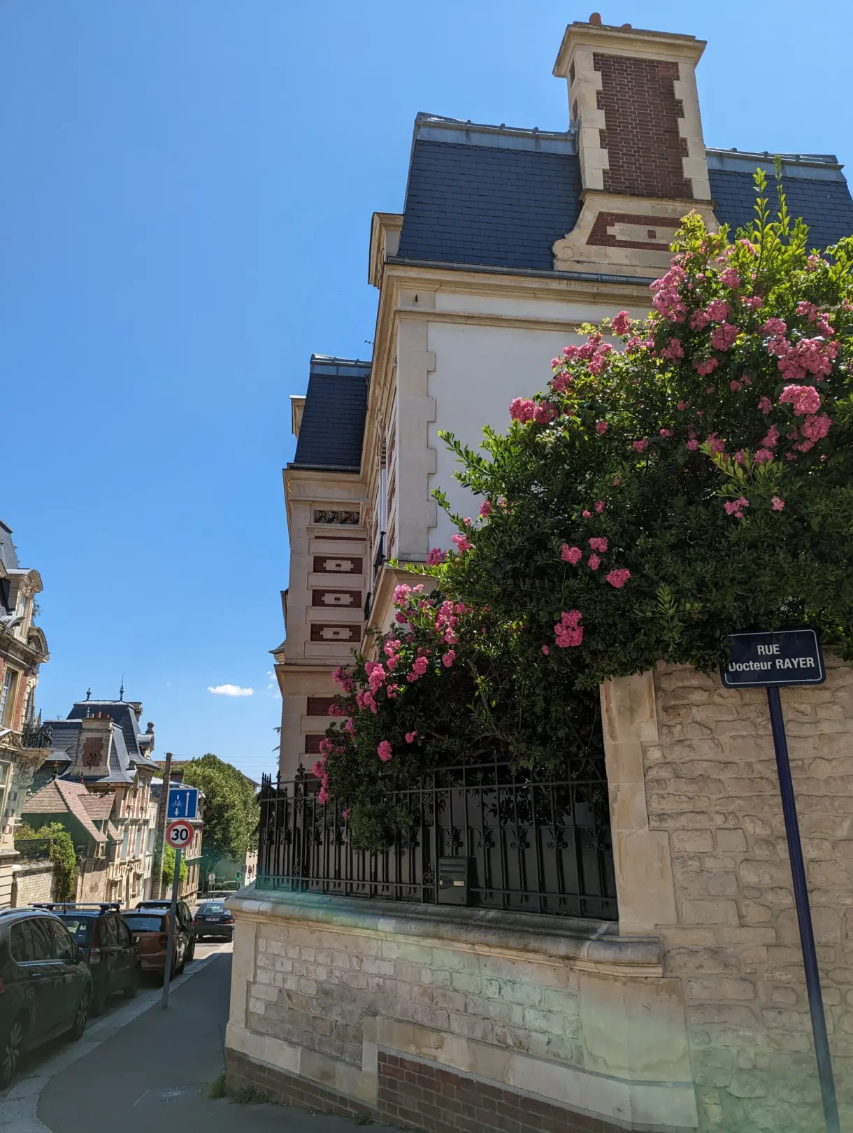 Climbing rose in bloom spilling over the wall of a townhouse