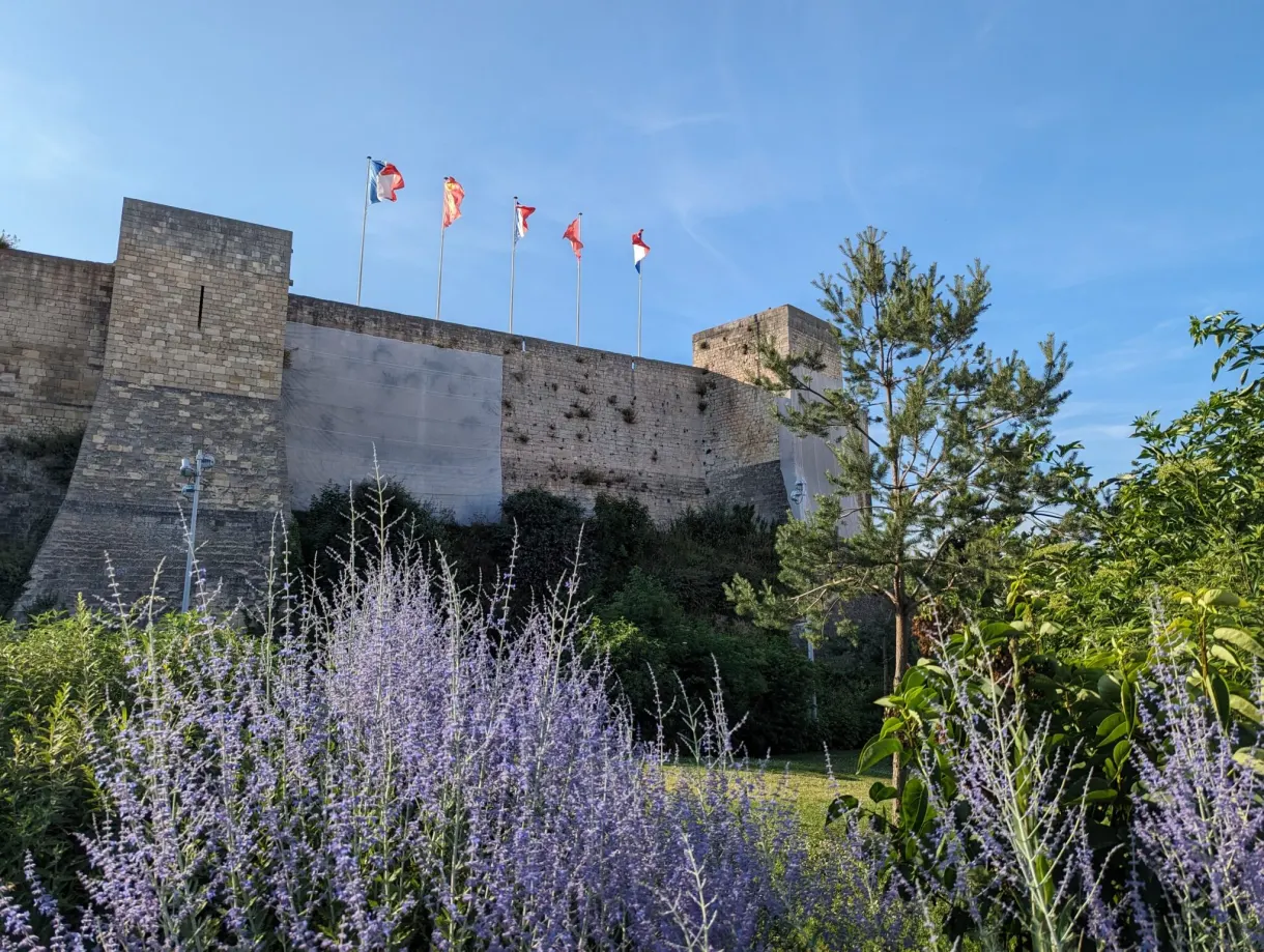 Castle ramparts decked with flags above a bed of lavender