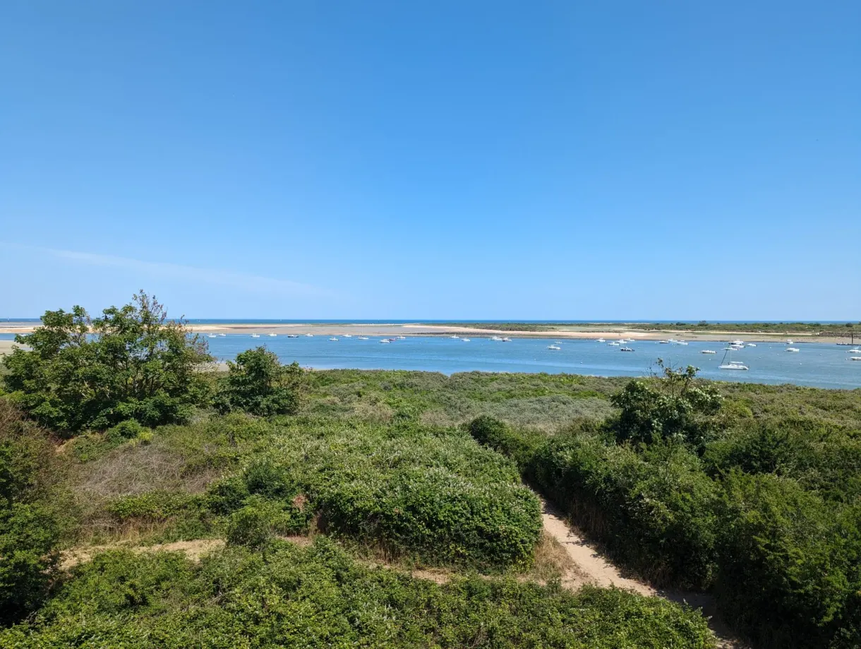 Estuary and sandbanks seen from the vegetated dunes
