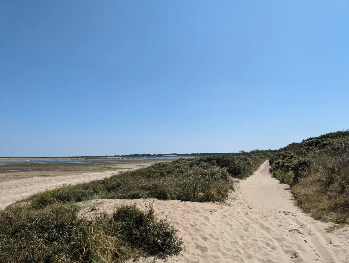 Sandy path winding through the dunes towards the beach