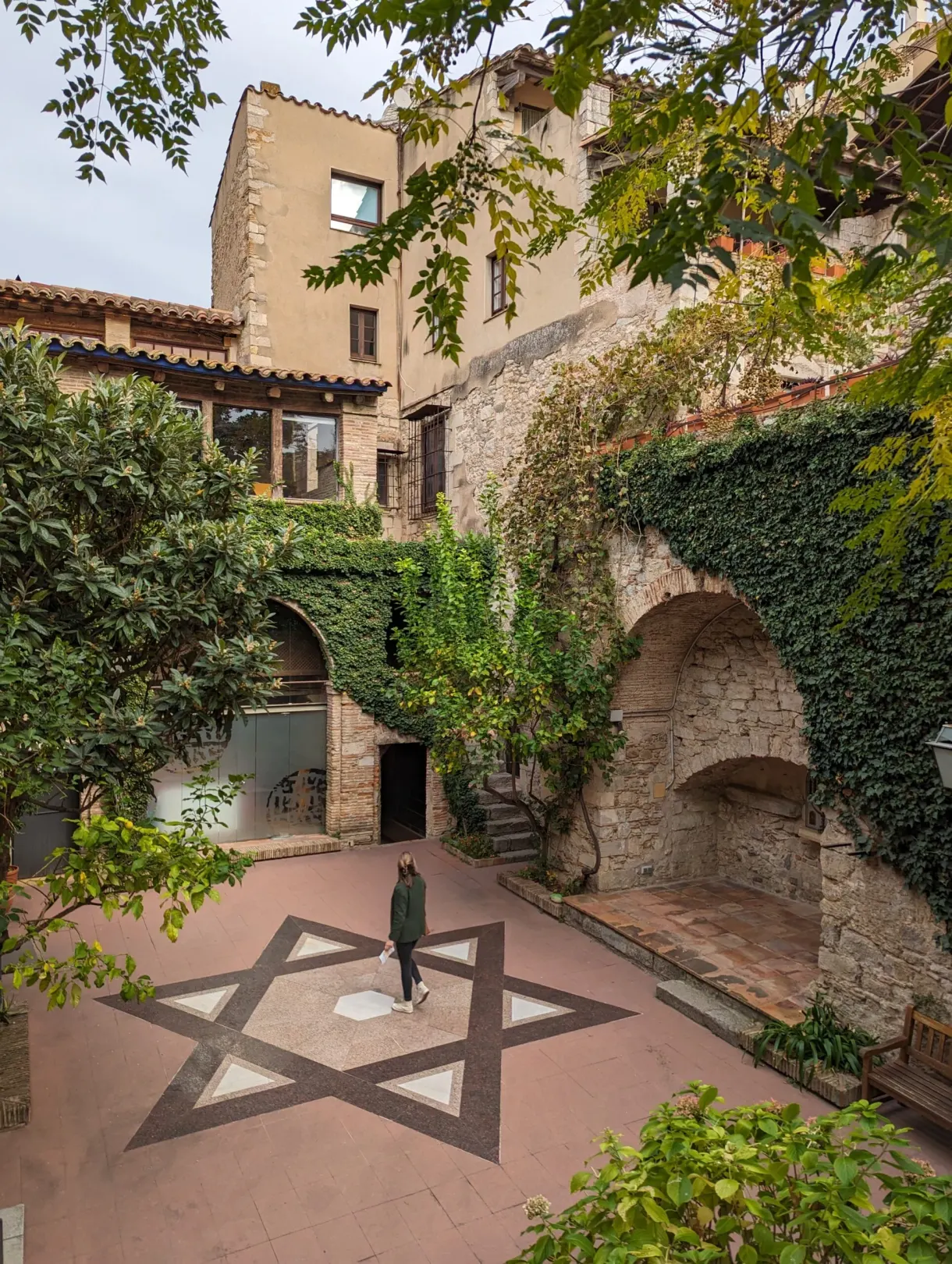 Patio planted with trees with a Star of David traced on the ground