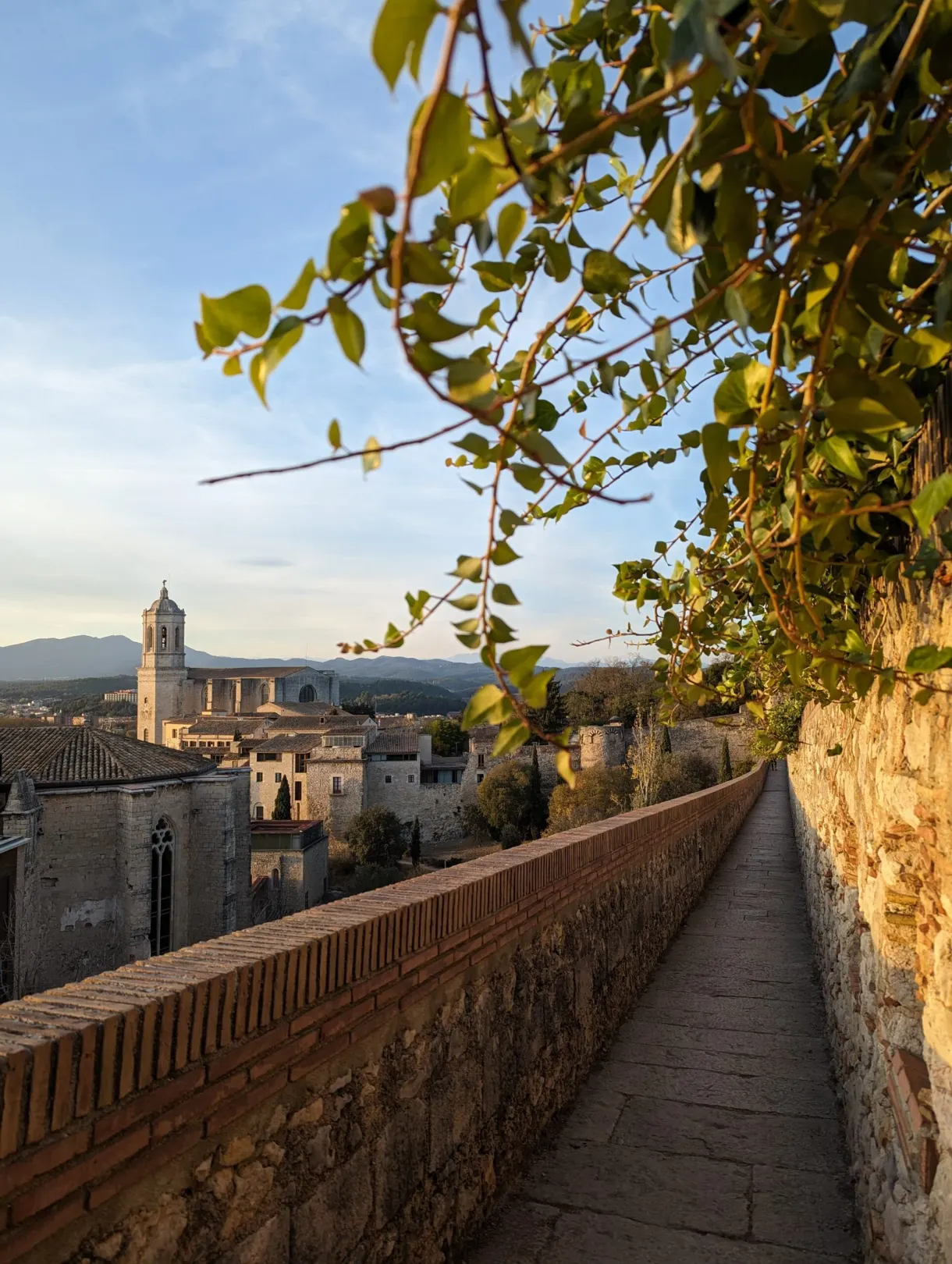 Wall walk lined with foliage, bell towers of the city in the distance