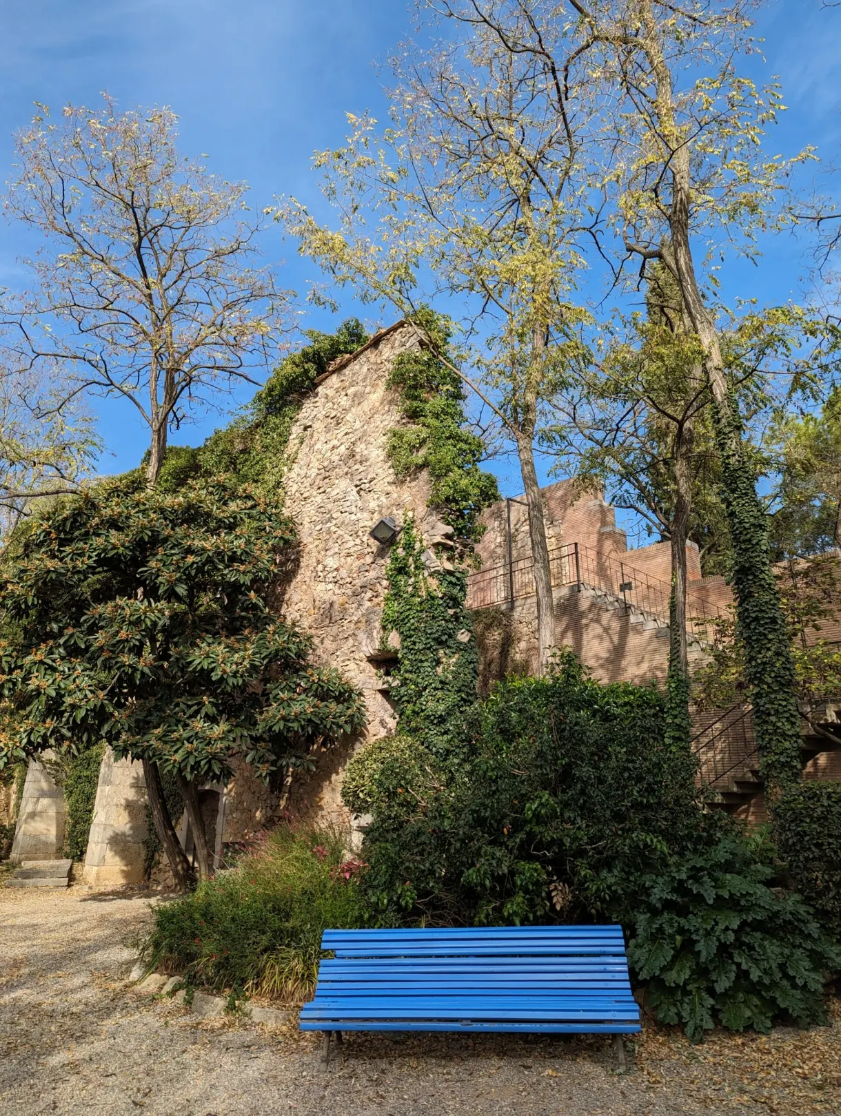 Ruined section of wall overrun with ivy and a blue bench