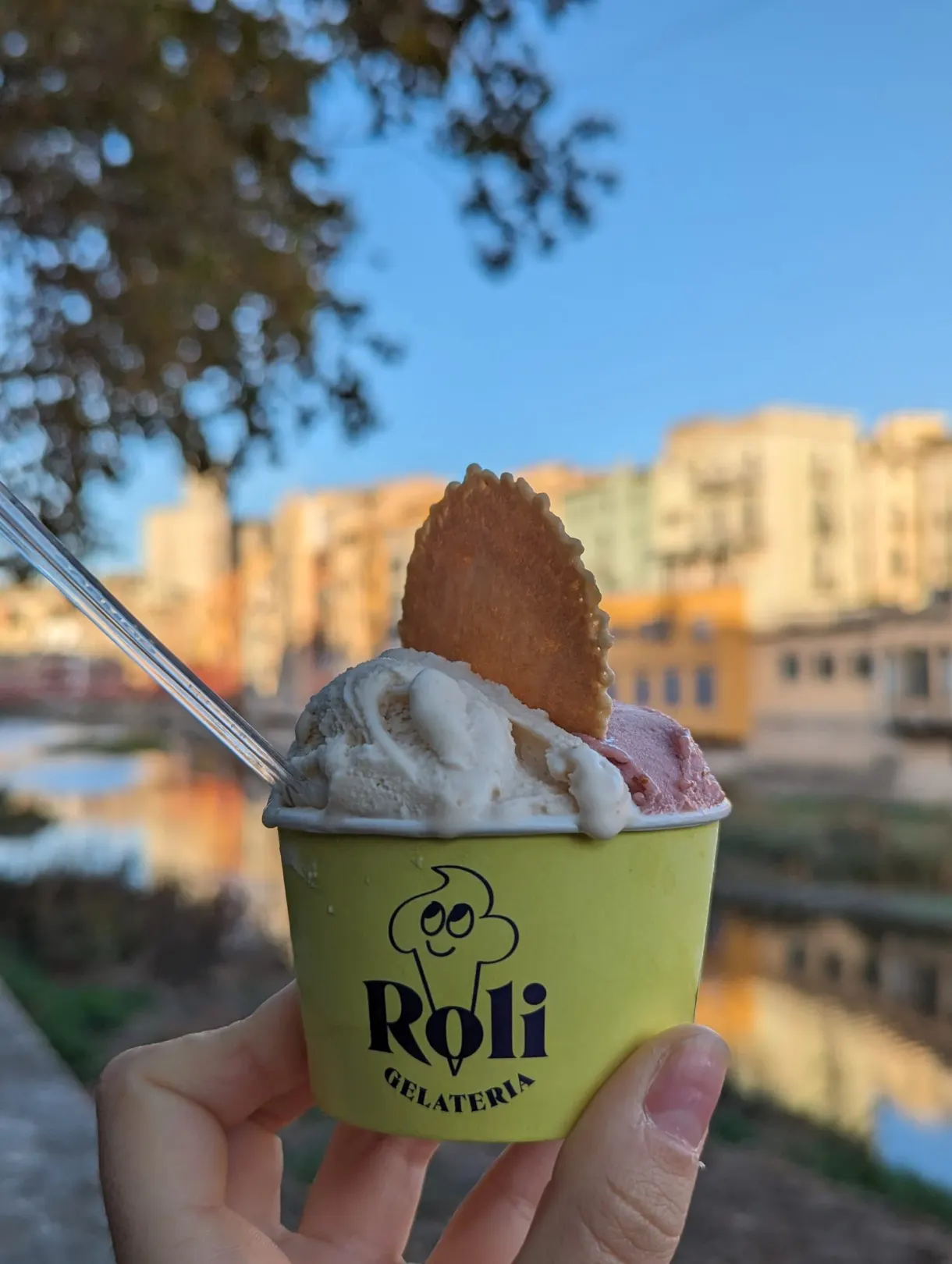 Tub of artisan ice cream held up facing the river