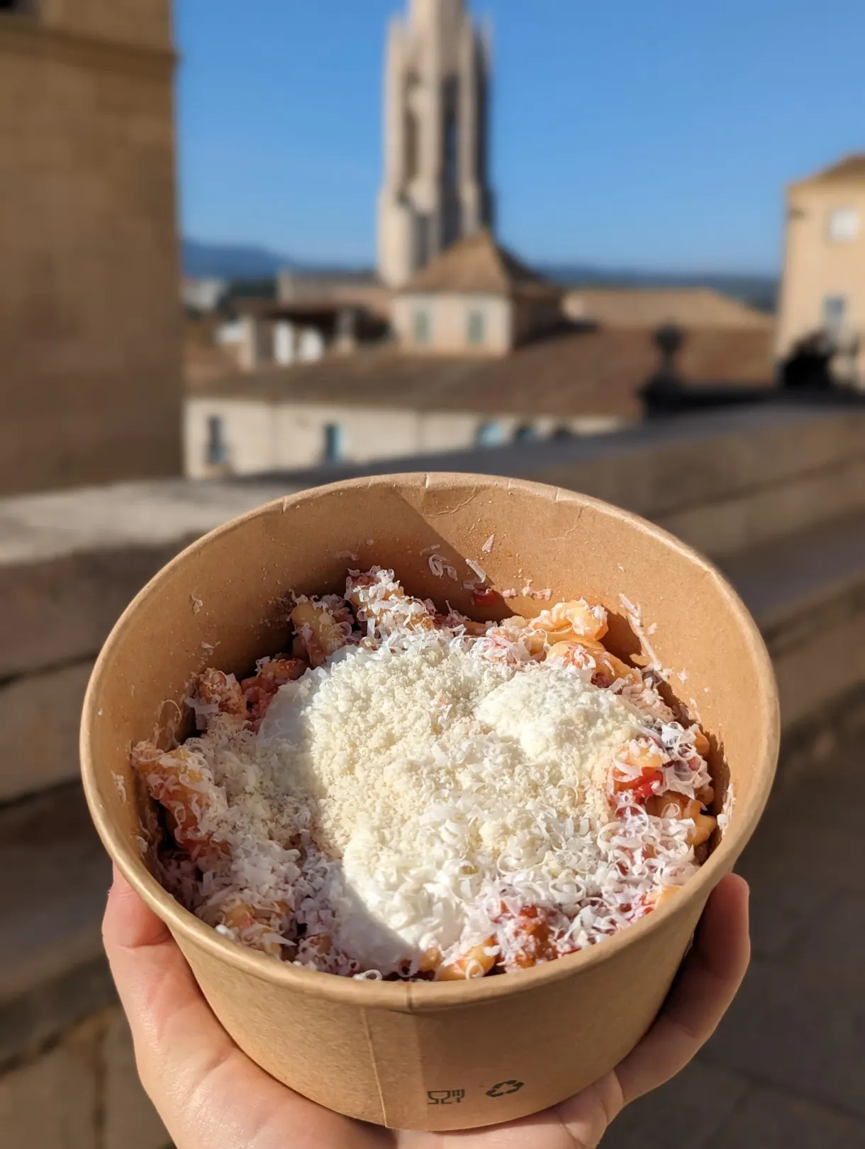 Tray of pasta covered with grated cheese held up in front of the roofs