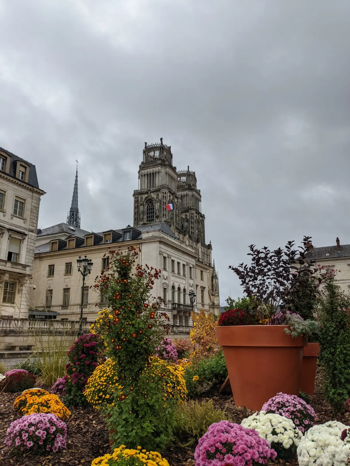 Potted chrysanthemums in front of a public building