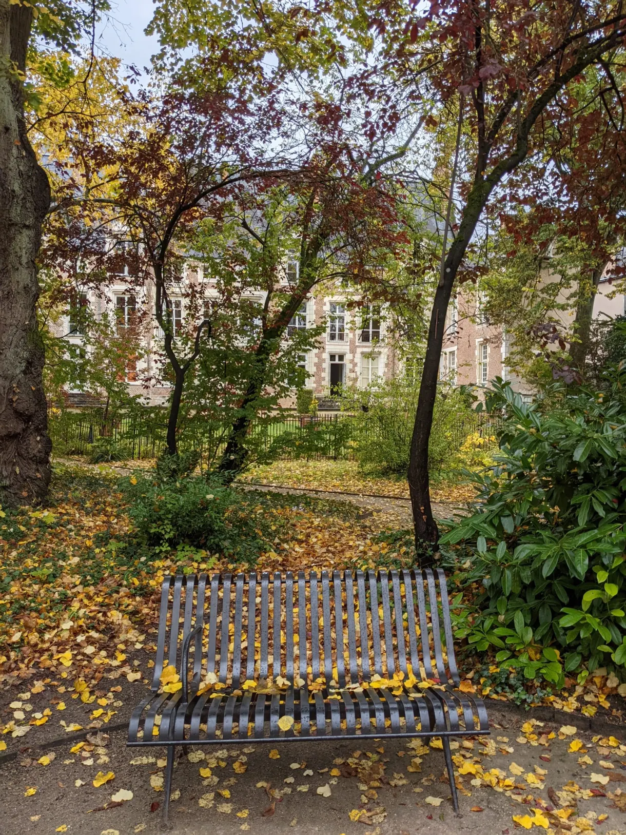Wooden bench beneath the yellowing trees of the garden