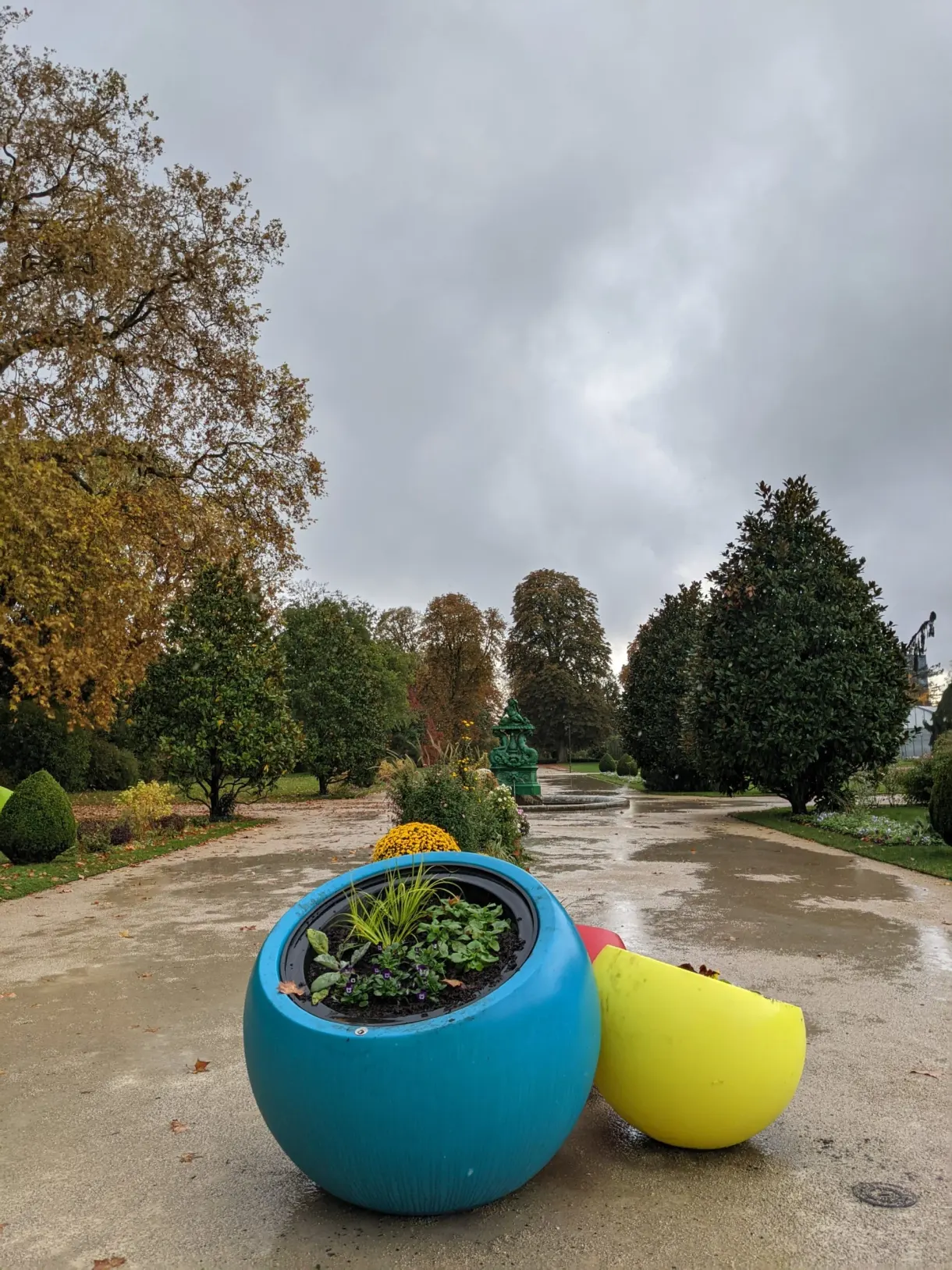 Blue and yellow flower planters on a wet path