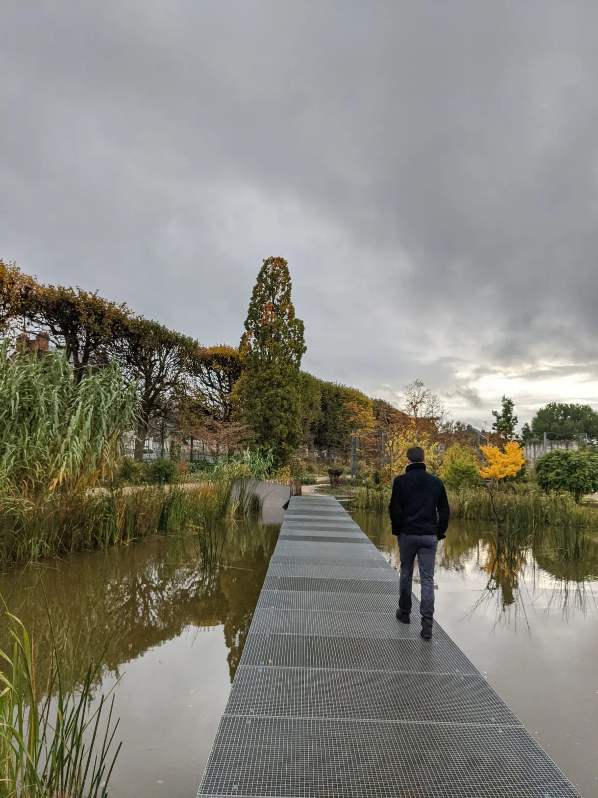 Wooden footbridge crossing a pond in the garden
