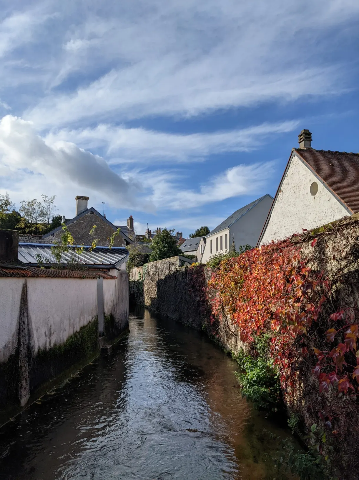 Narrow canal bordered by a wall covered with red creeper