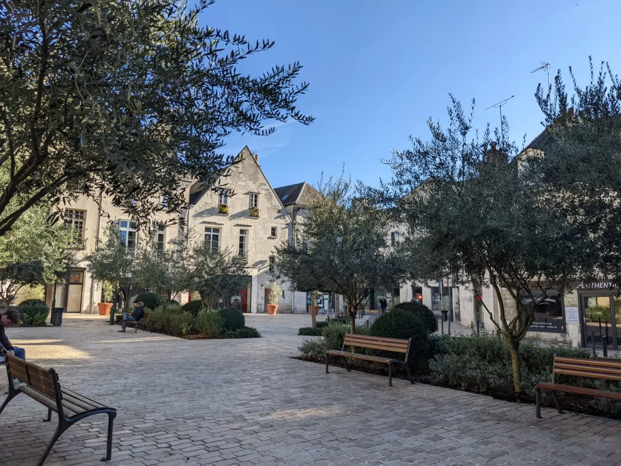 Small cobbled square lined with benches and clipped shrubs
