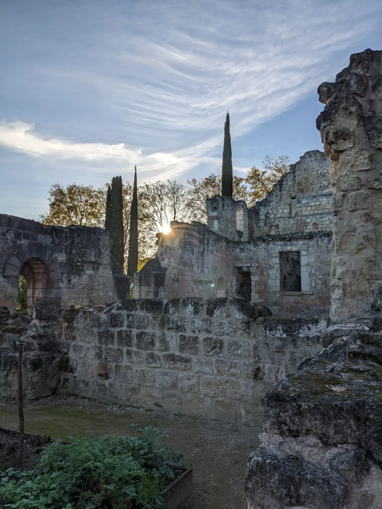 Low ruined walls and cypresses in the raking light