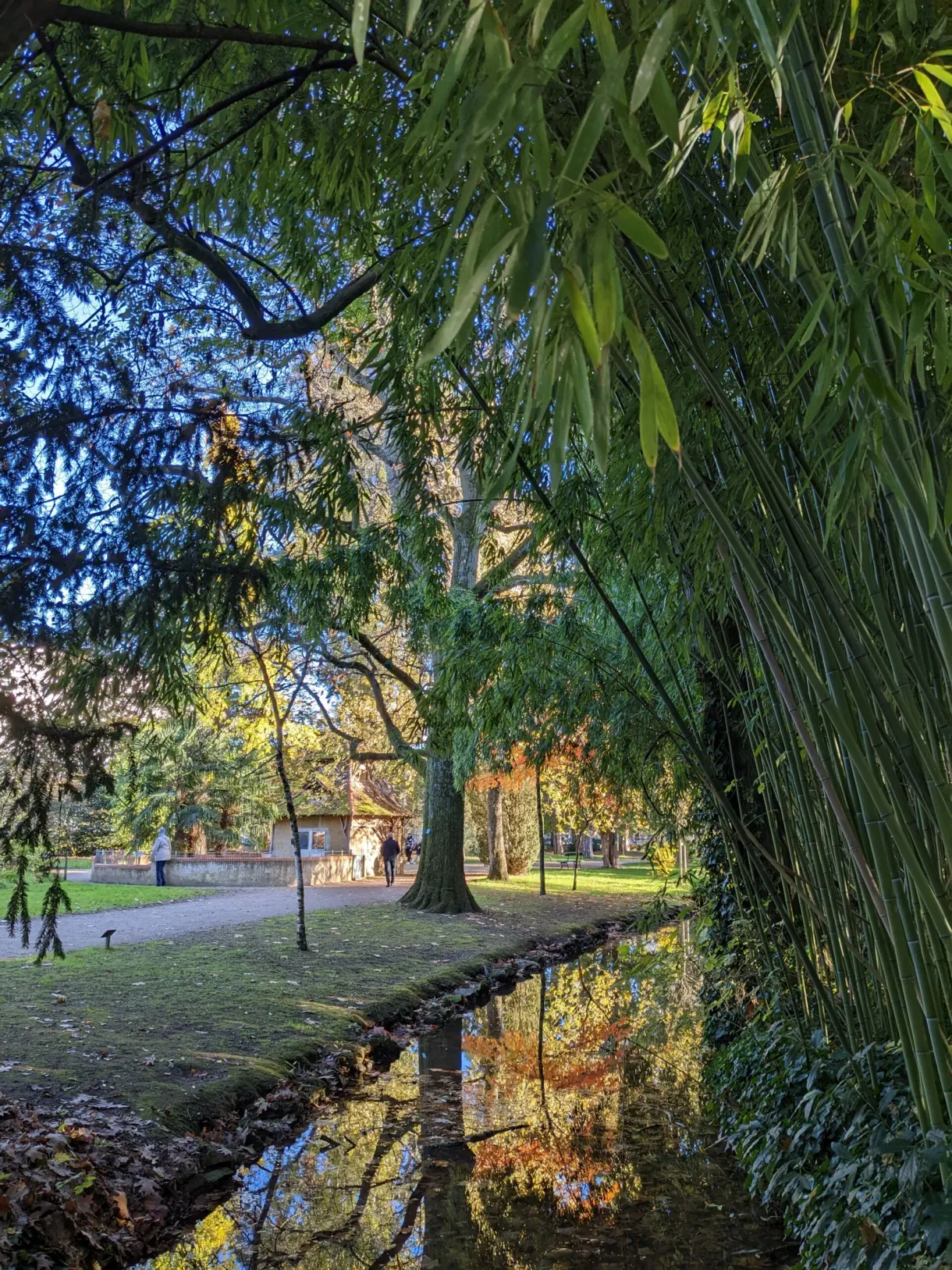 Pond lined with bamboo and walkers on the garden path
