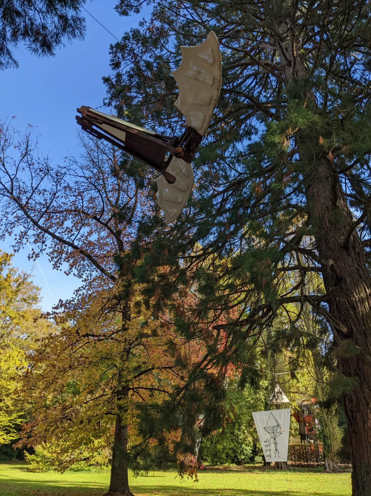 Vinci's flying wing hung in the branches of a tree