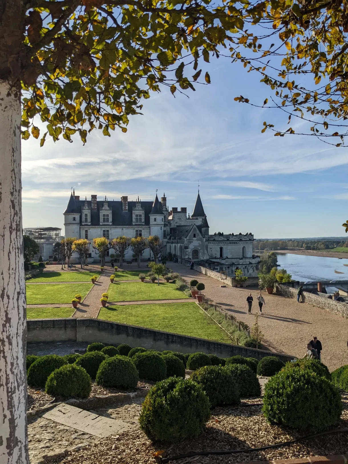 Terrace of the château framed under branches, Loire on the horizon