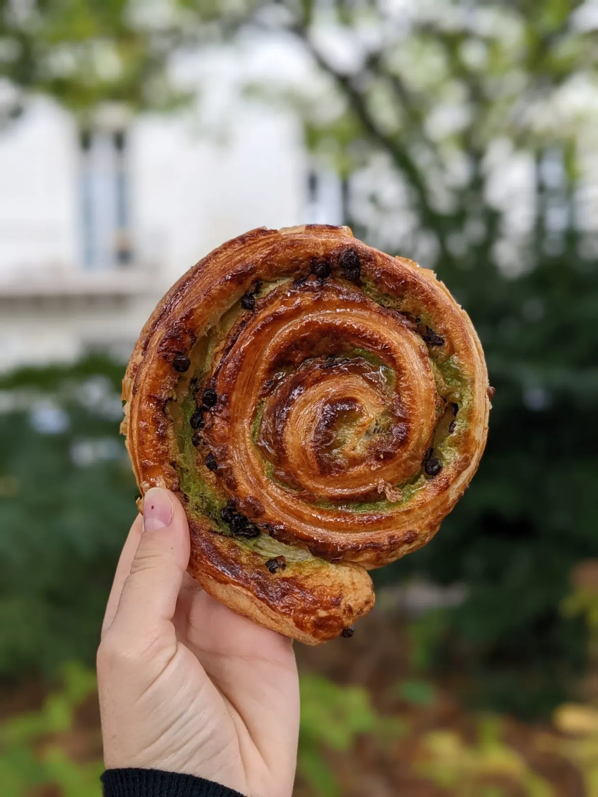 Pistachio pastry swirl held in the hand outdoors