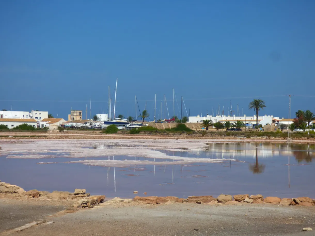 Pink salt pans in front of the masts of the harbour