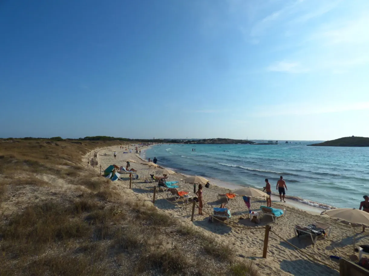Long sandy beach lined with dunes and bathers