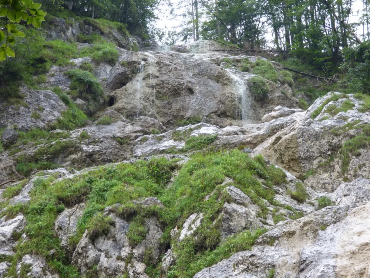 Trickle of water running down moss-covered rocks