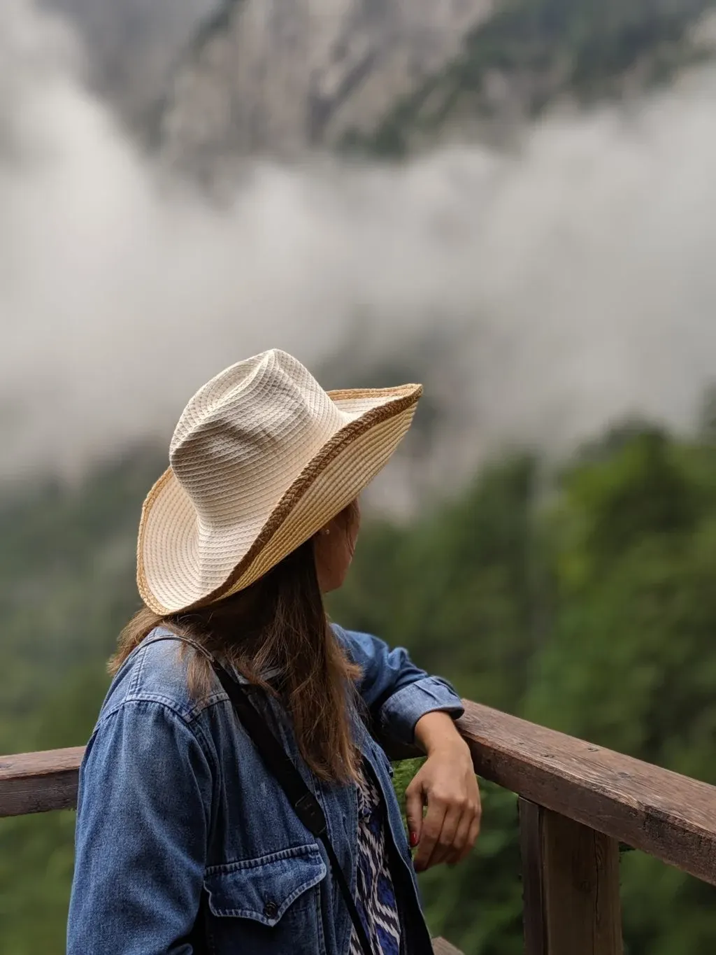 Straw hat and denim jacket facing the mist