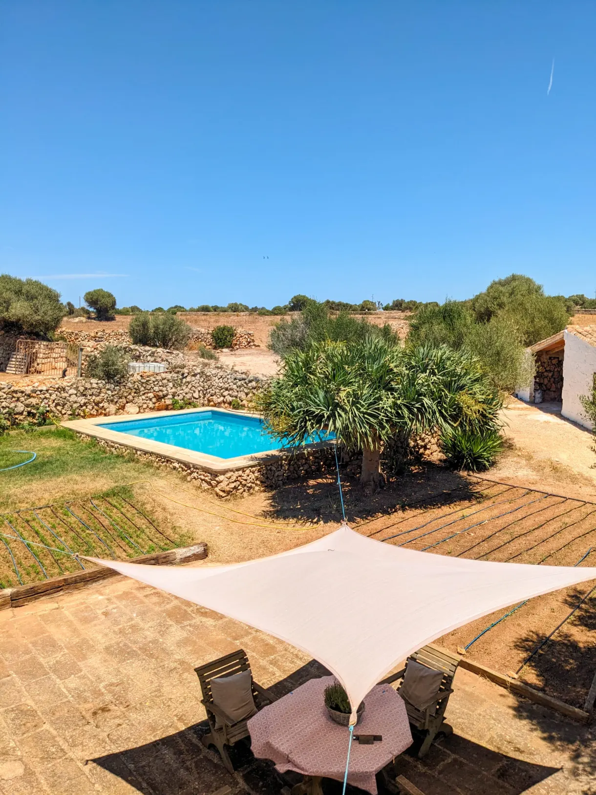 Garden of a house with a pool and a shade sail