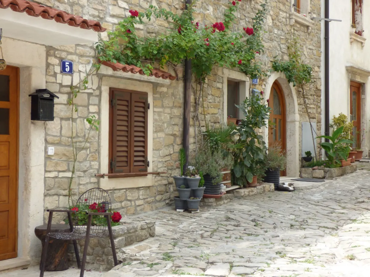 Stone house with brown shutters and flower pots, lane in Buje