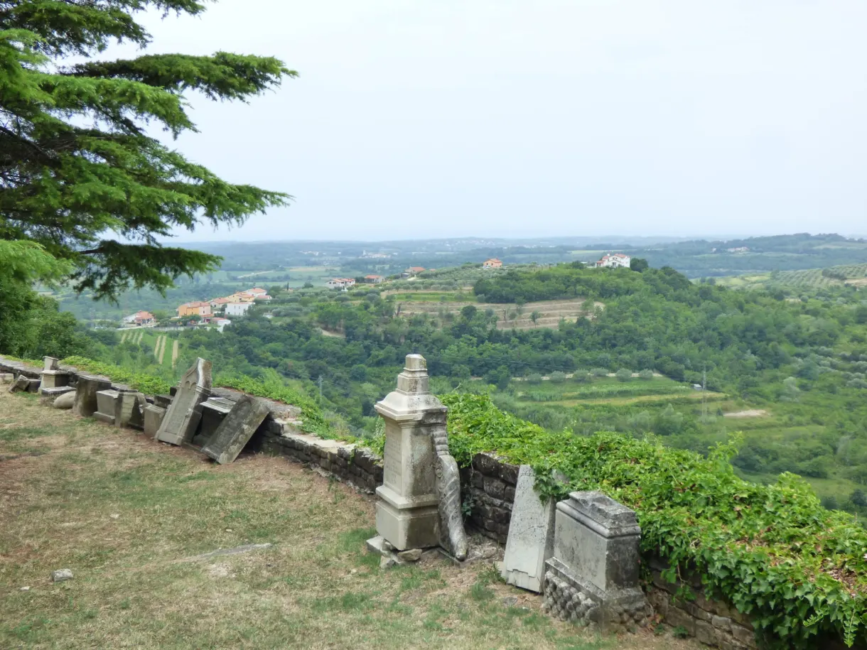 View over the cultivated hills from a shaded low wall in Buje