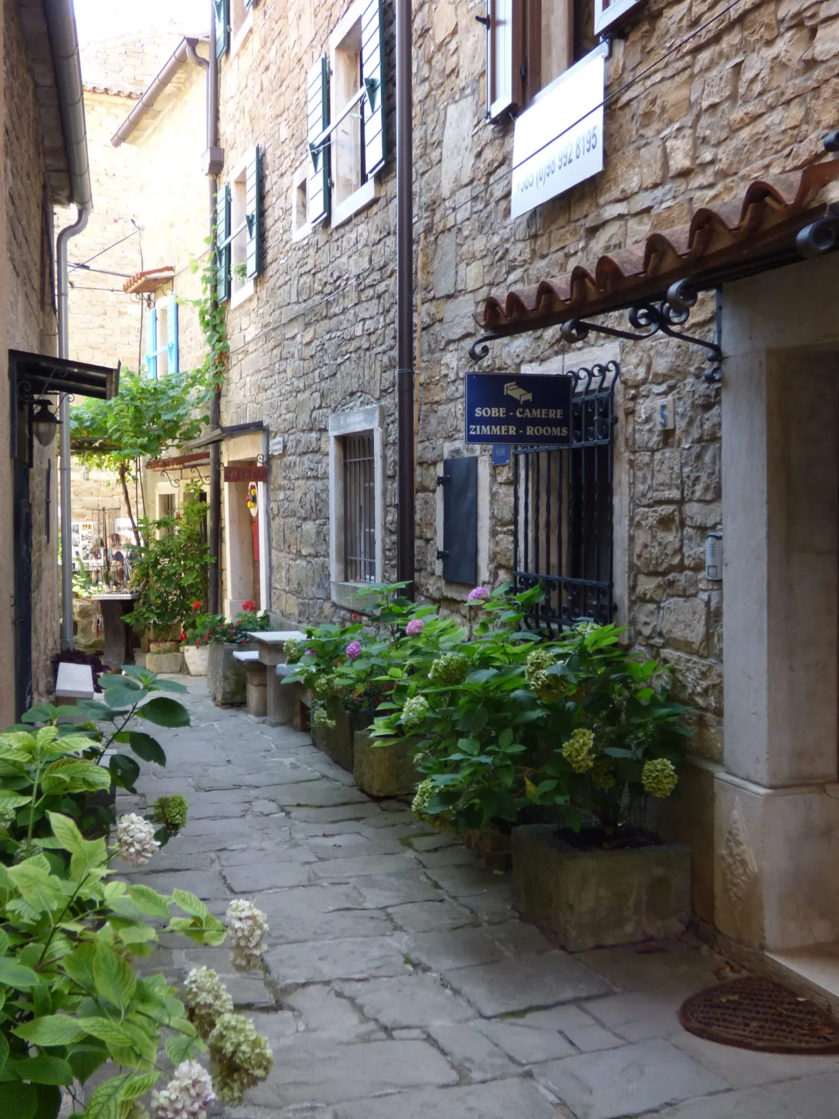 Cobbled alley with guest house signs and hydrangeas, Grožnjan