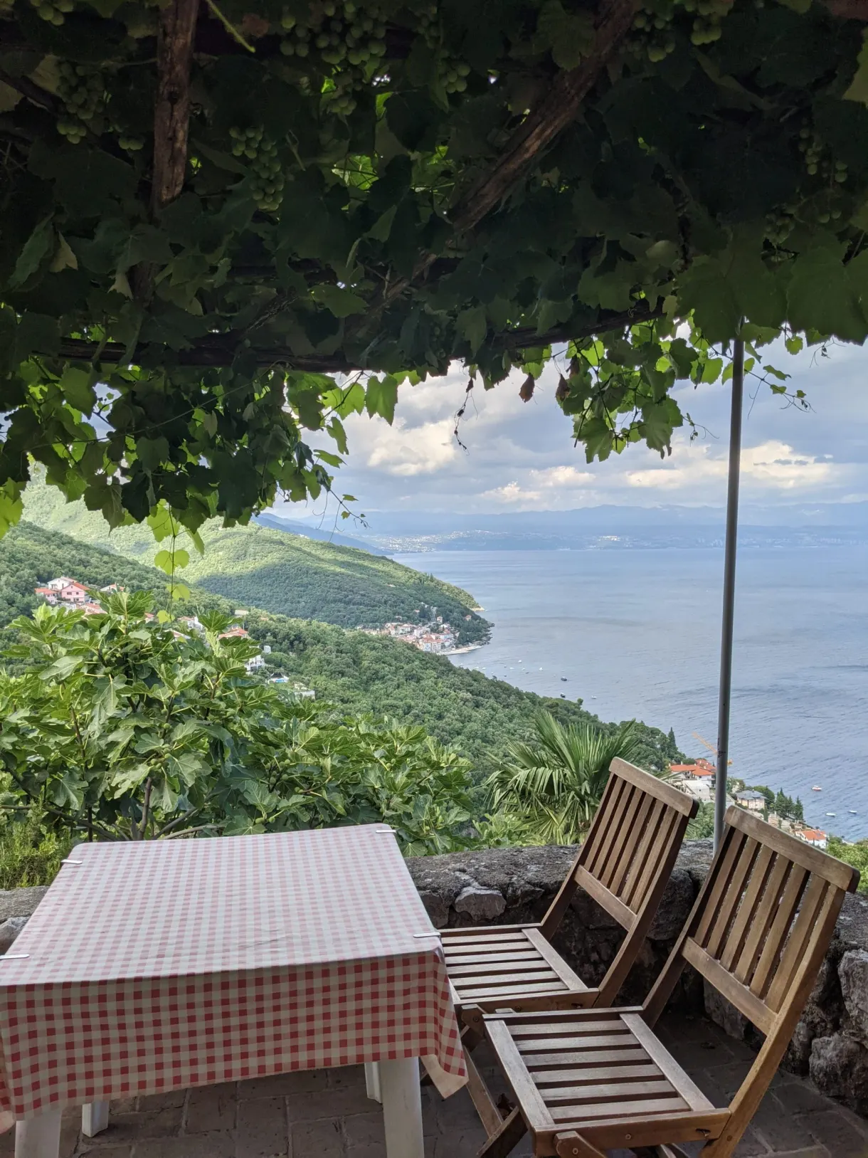 Table with a checked cloth under a vine trellis with a sea view