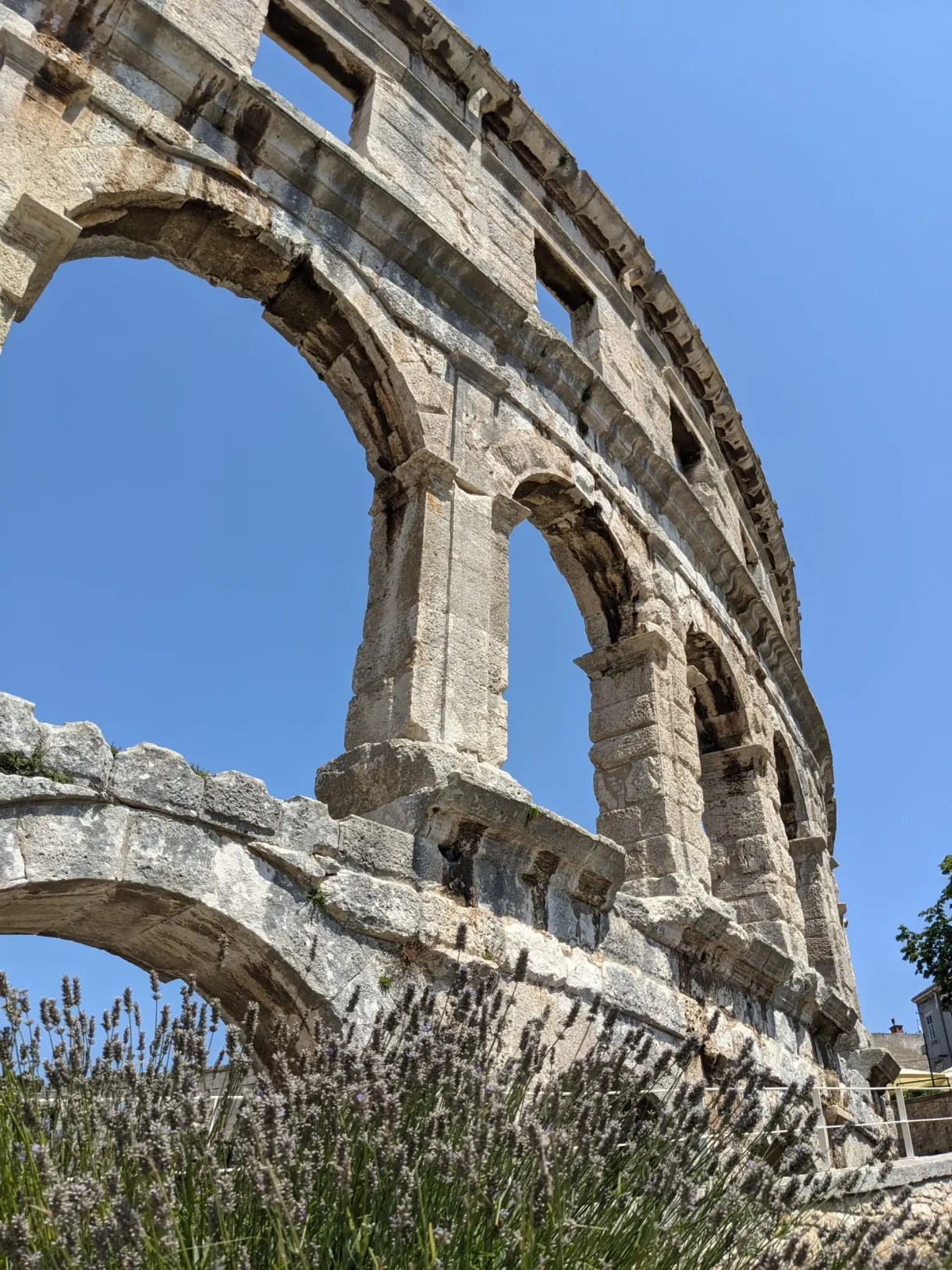 Arcades of the amphitheatre of Pula seen from below above the lavender