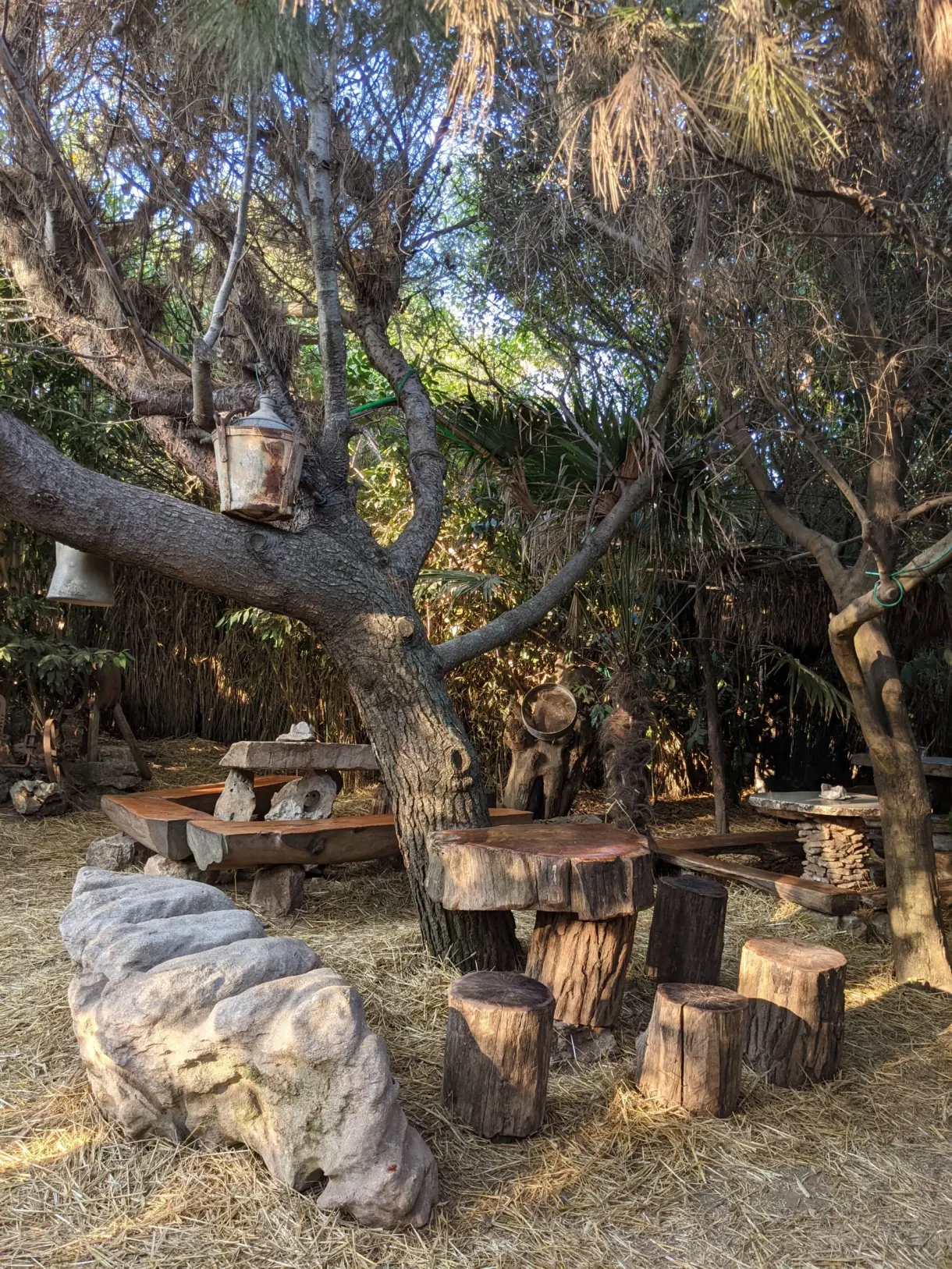 Beach bar under the trees with stools cut from logs