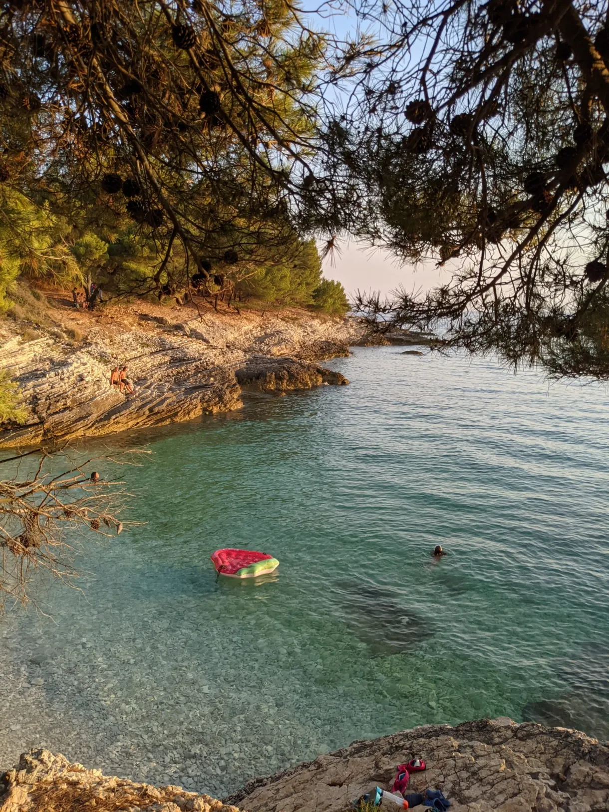 Red inflatable ring in a turquoise cove shaded by pines