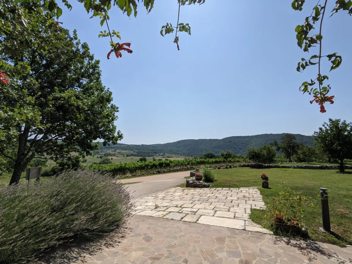 Garden and stone path of the accommodation opening onto the vineyards