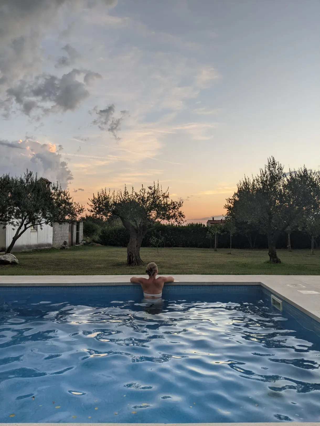Bather leaning on the edge of the pool at dusk, among the olive trees