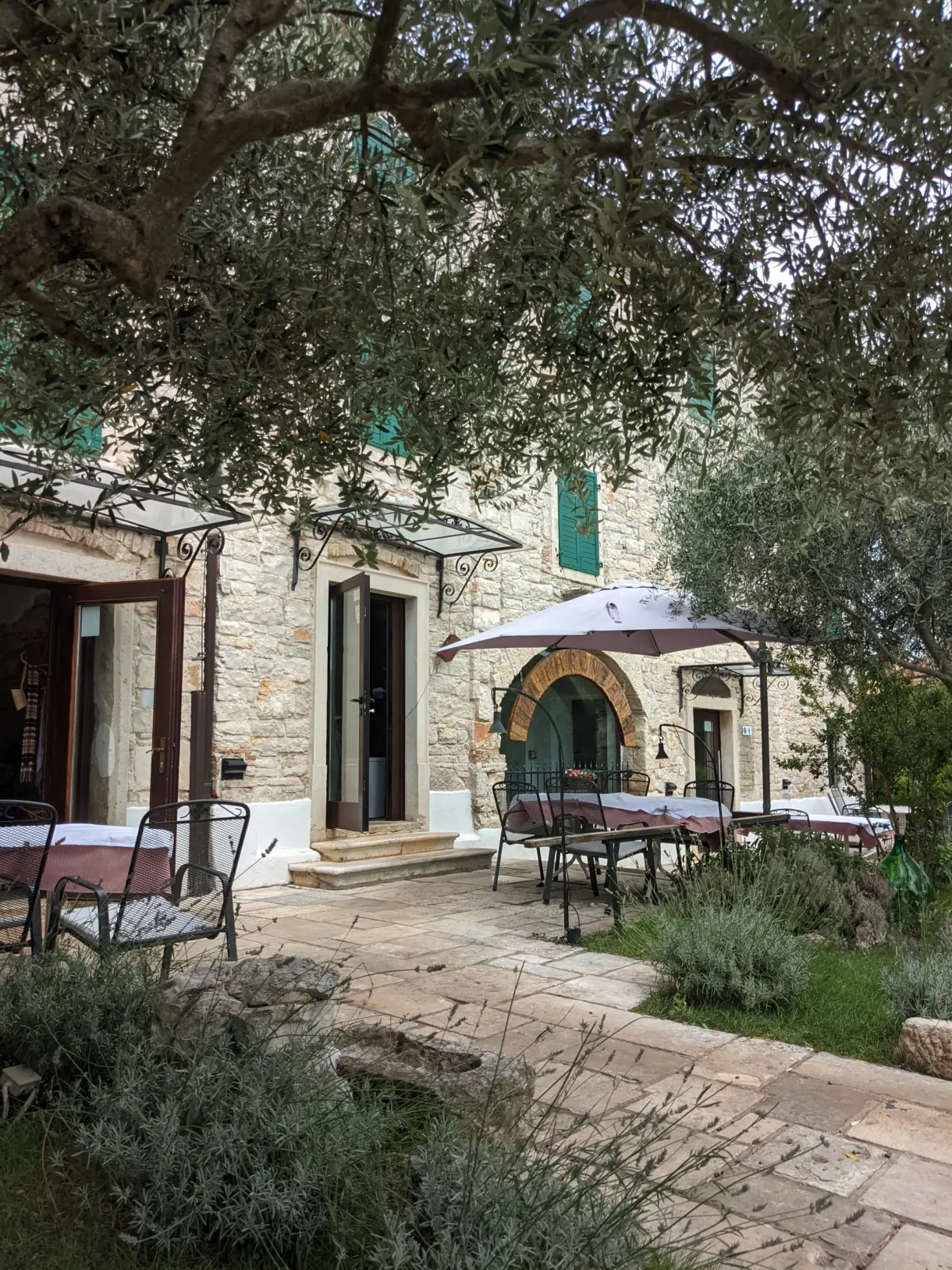 Furnished terrace in front of a stone house shaded by an olive tree