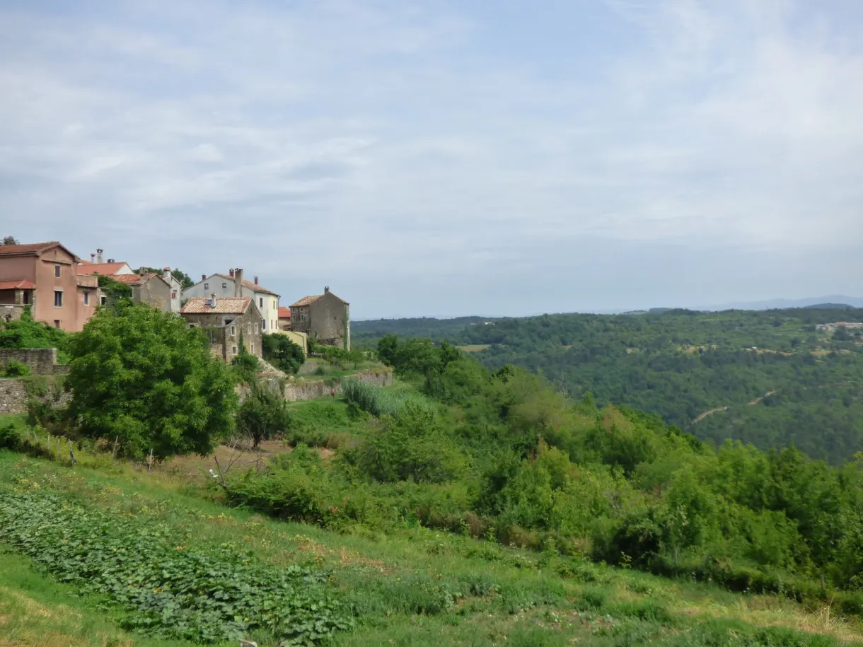 Stone houses on the edge of Oprtalj facing the wooded hills