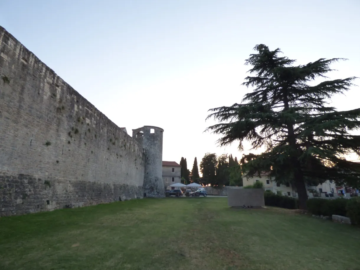Castle curtain wall and large cedar at dusk, Svetvinčenat