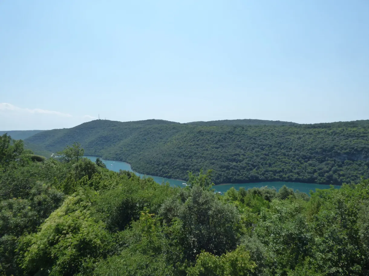 The Lim channel winding between entirely wooded slopes
