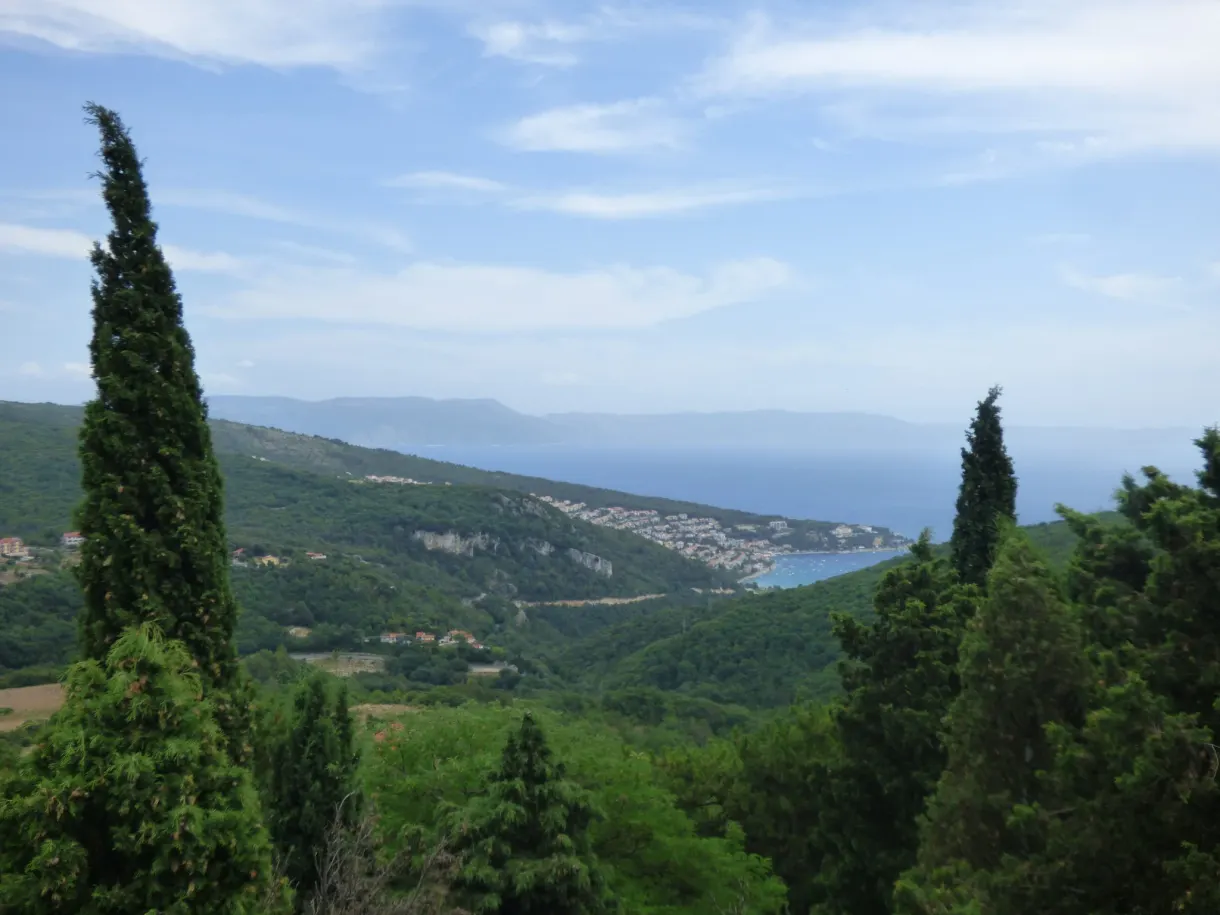 Slender cypress and view over the coast from the heights of Labin