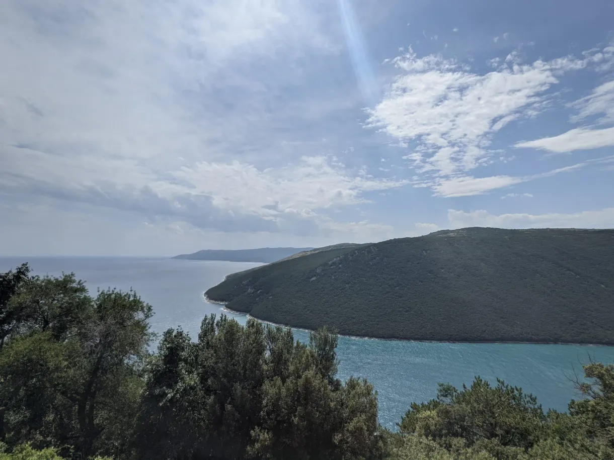 Rounded bay and headland seen through the trees from Plomin