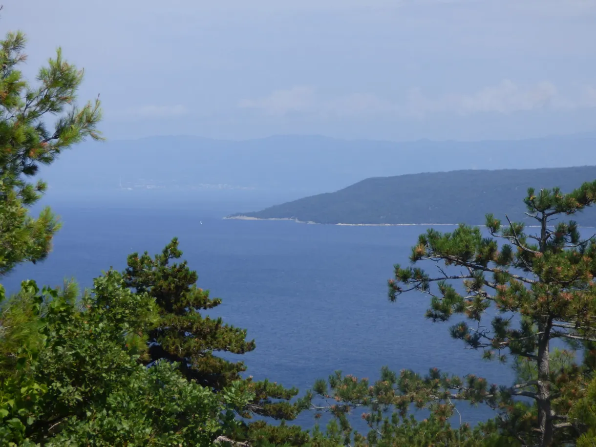 Pines above the blue sea and the distant coast, Plomin
