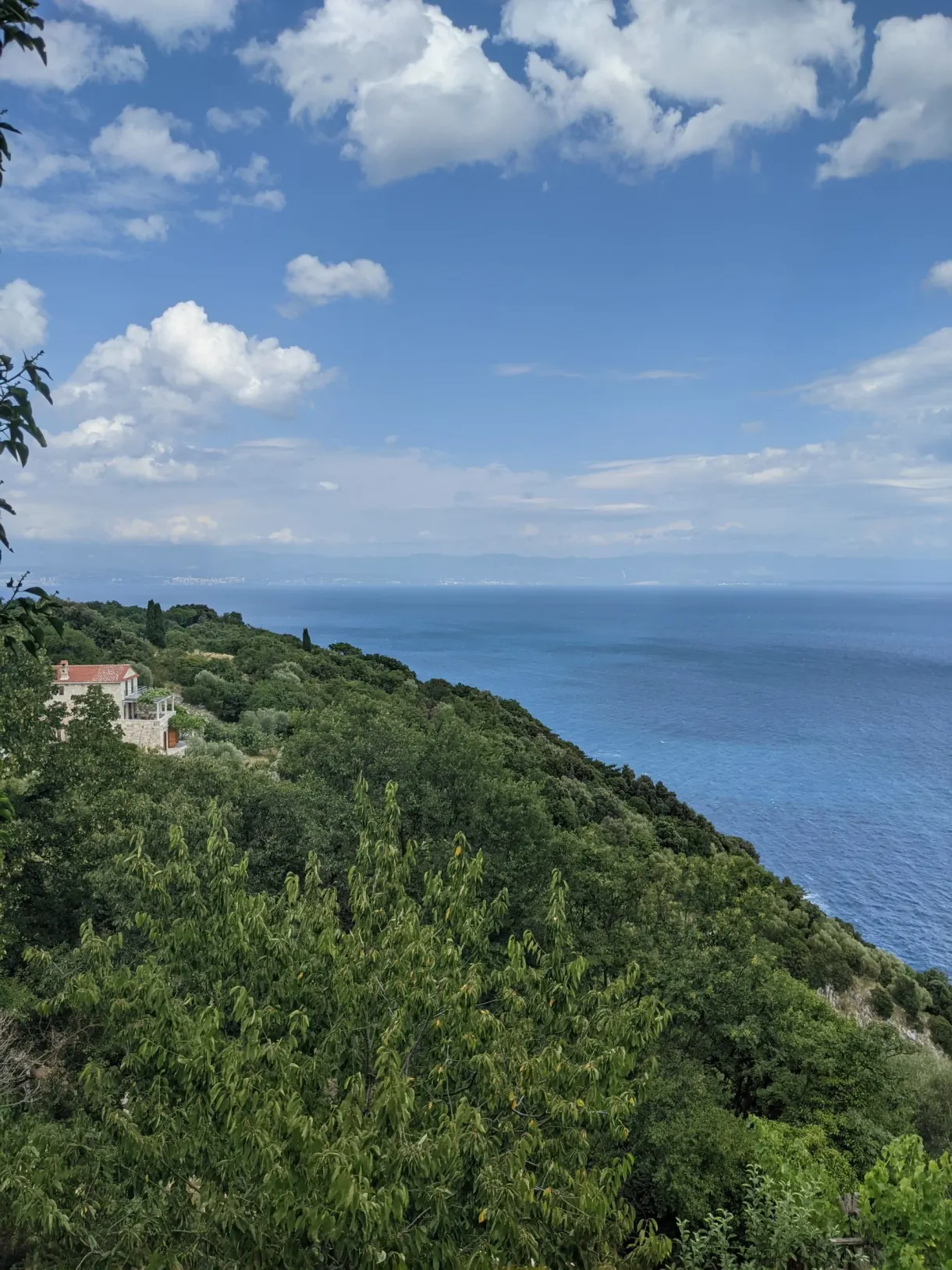 Wooded slope dropping down to the sea under a cloudy sky, Brseč