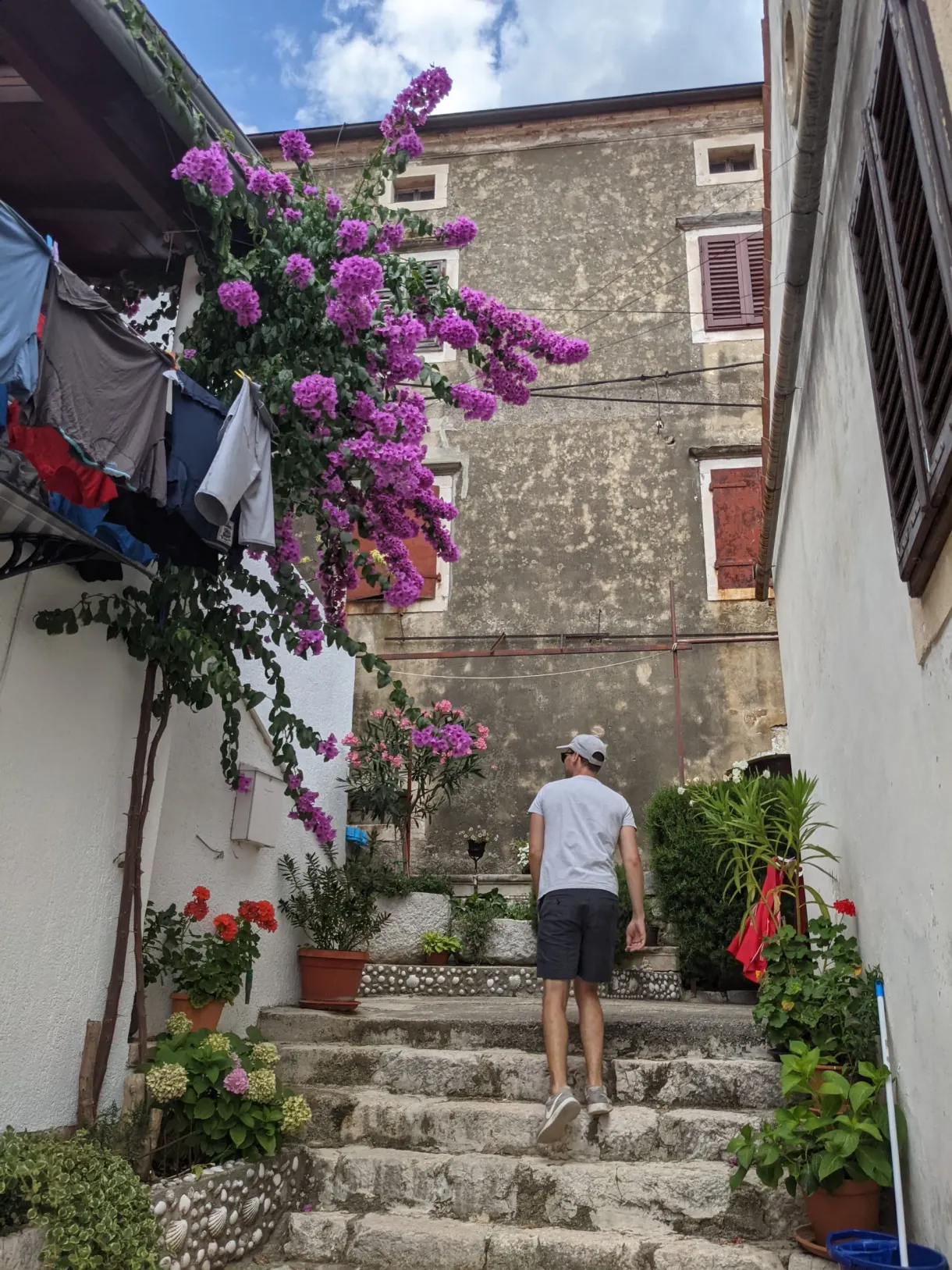 Woman climbing a staircase under a purple bougainvillea, Brseč