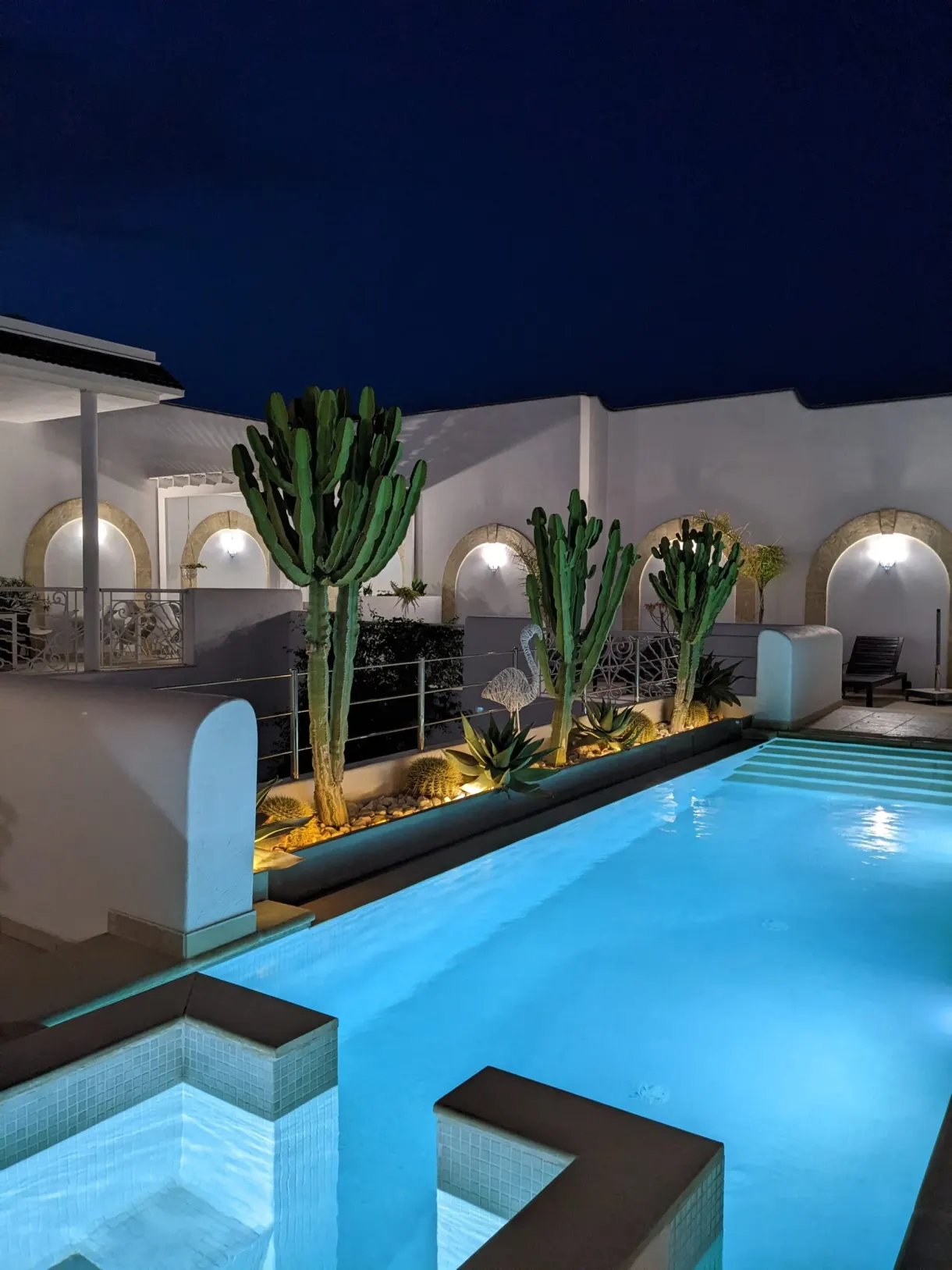 Piscine illuminée et cactus sur la terrasse de Dar Benti, la nuit, à Monastir