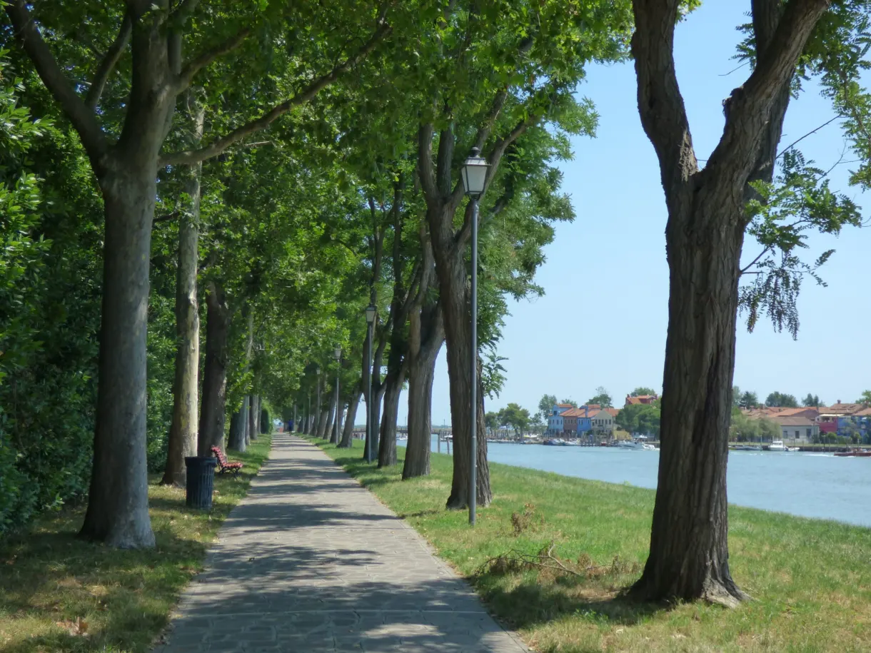 Allée ombragée d'arbres longeant la lagune vénitienne