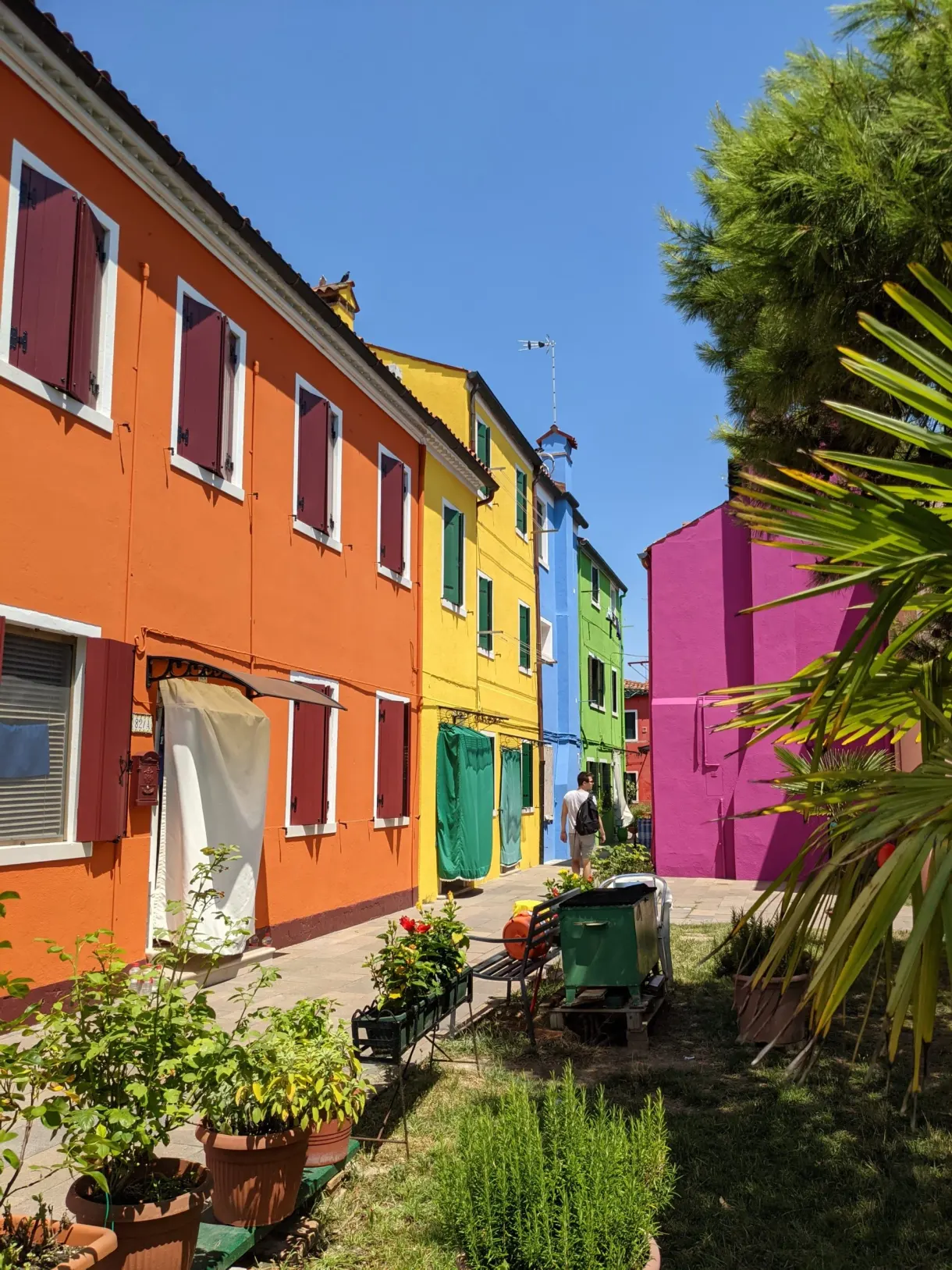 Maisons orange, jaune et magenta et leurs jardinets plantés