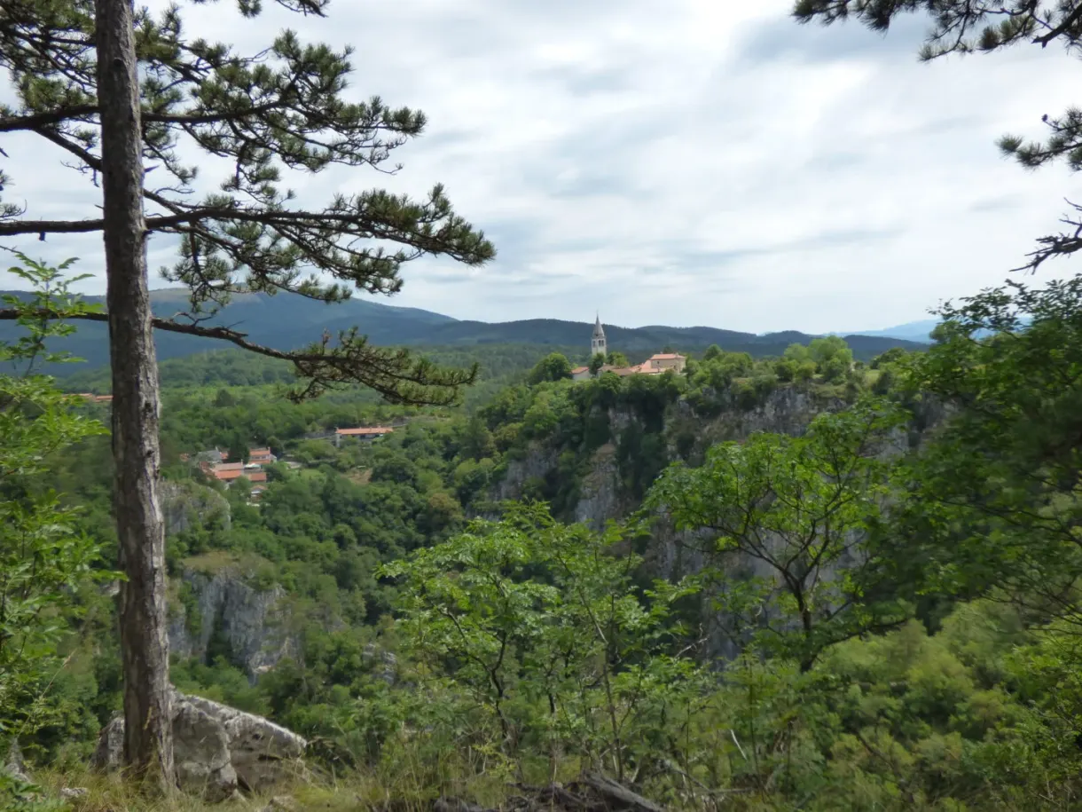 Gouffre boisé aperçu à travers les branches d'un pin