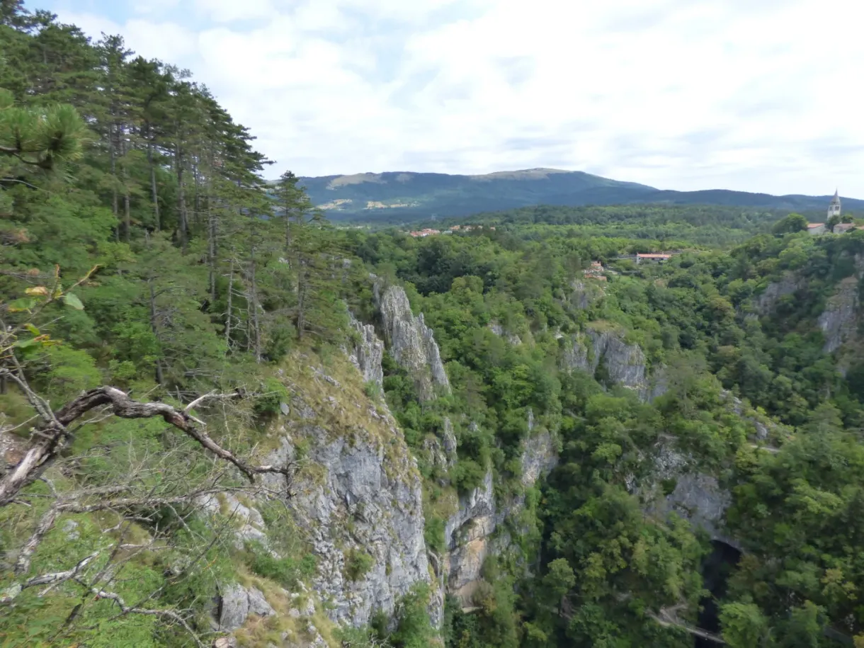 Falaises et forêt encerclant l'effondrement karstique