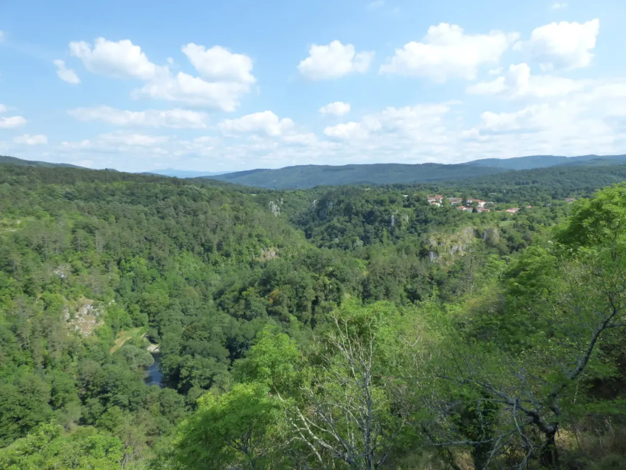 Panorama sur les collines boisées du plateau karstique